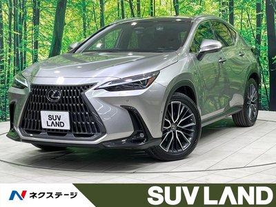LEXUS NX - 1