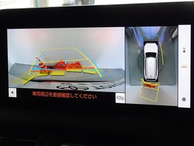2025 Toyota LAND CRUISER 250 照片 9