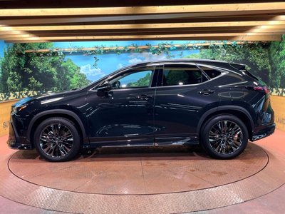 2021 Lexus NX — миниатюра 49