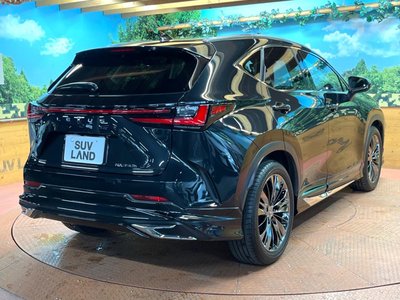 2021 Lexus NX — миниатюра 54