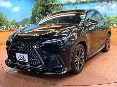 2021 Lexus NX — миниатюра 51