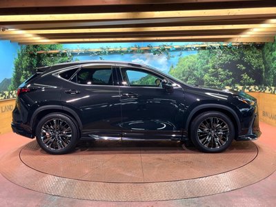 2021 Lexus NX — миниатюра 52