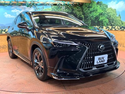 2021 Lexus NX — миниатюра 50