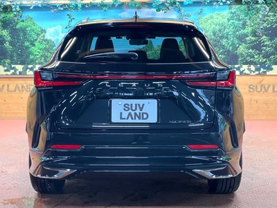 2021 Lexus NX — миниатюра 17