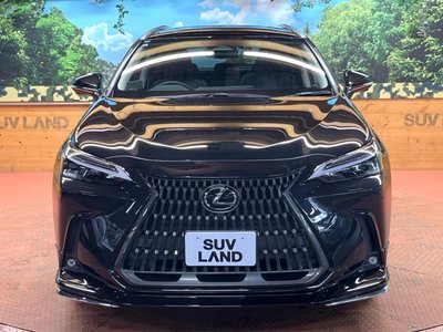 2021 Lexus NX — миниатюра 16