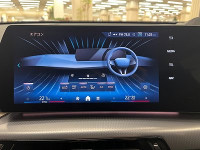 2025 BMW X2 缩略图 37