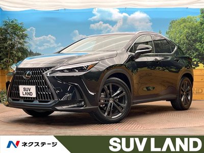 LEXUS NX - 1