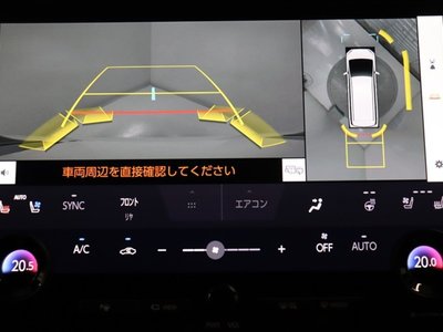 2025 TOYOTA ALPHARD photo 6