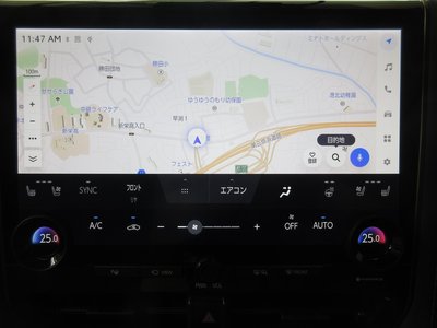 2024 TOYOTA ALPHARD — миниатюра 20