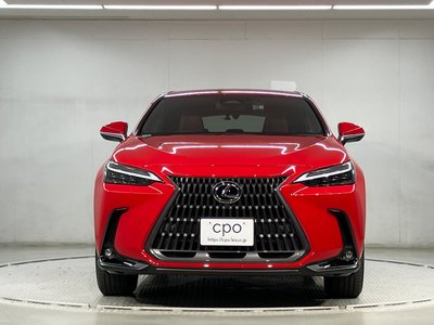 LEXUS NX - 2