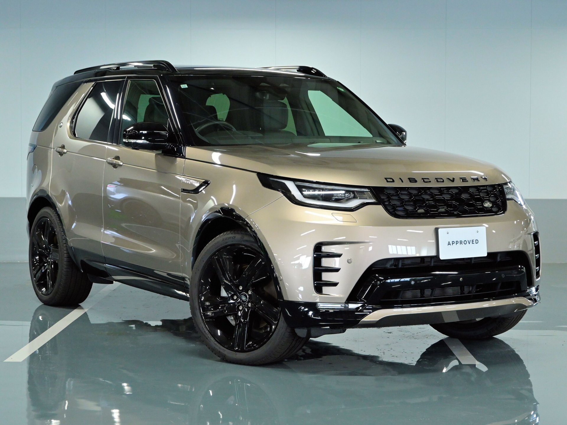 LAND ROVER DISCOVERY - View 1