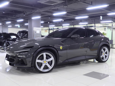 2025 FERRARI PUROSANGUE 照片 5
