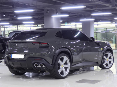 2025 FERRARI PUROSANGUE 照片 2