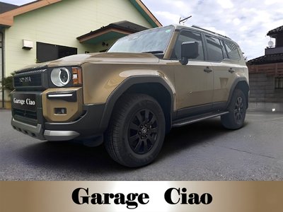 TOYOTA LAND CRUISER 250 - 1