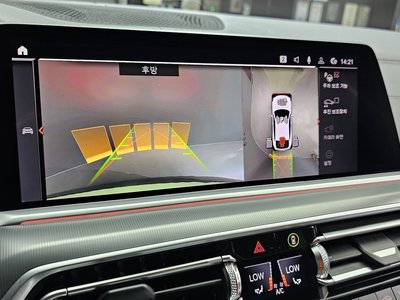 2020 BMW X6 缩略图 15