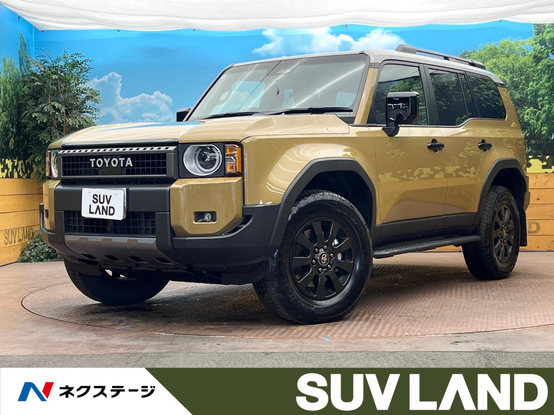 TOYOTA LAND CRUISER 250 - View 1