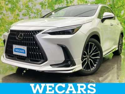 LEXUS NX - 1