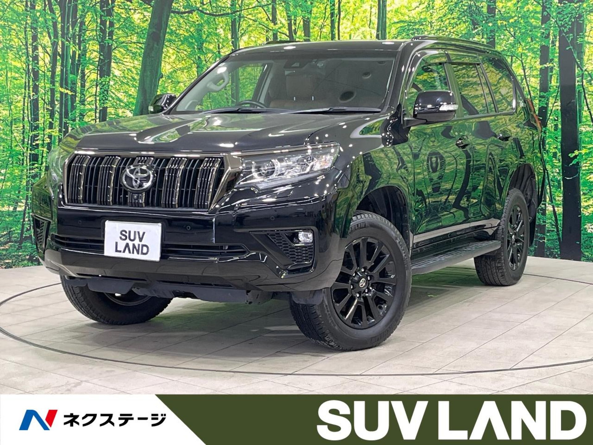 TOYOTA LAND CRUISER PRADO - View 1