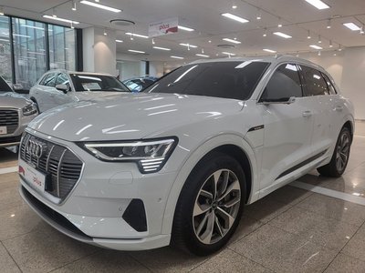 AUDI E-TRON - 1