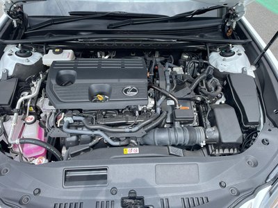 2022 Lexus ES 缩略图 24