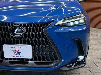 LEXUS NX - 10