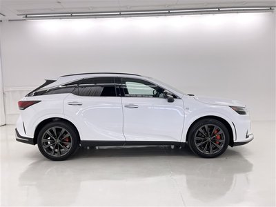 2024 Lexus RX 缩略图 19