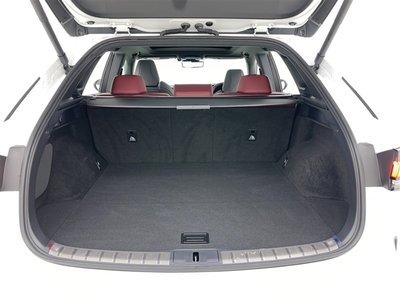 2024 Lexus RX 缩略图 14