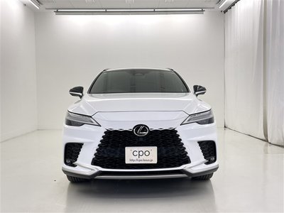 2024 Lexus RX 缩略图 16