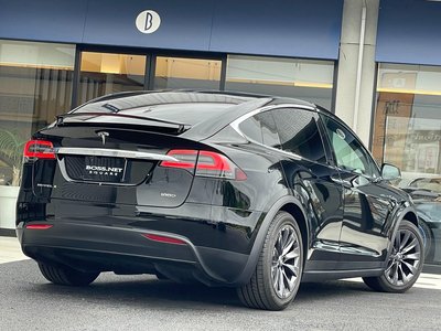 2018 Tesla MODEL X 缩略图 13