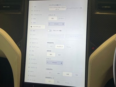 2018 Tesla MODEL X 缩略图 55