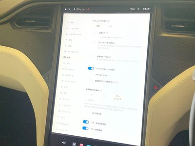 2018 Tesla MODEL X 缩略图 57