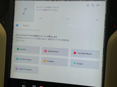 2018 Tesla MODEL X 缩略图 52