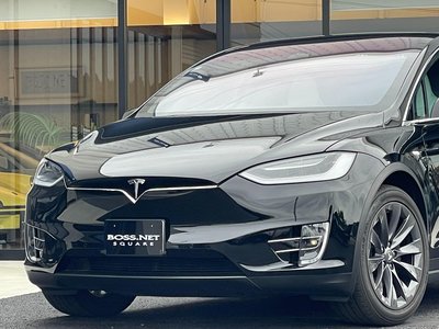 2018 Tesla MODEL X 缩略图 12