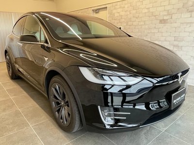 2018 Tesla MODEL X 缩略图 24