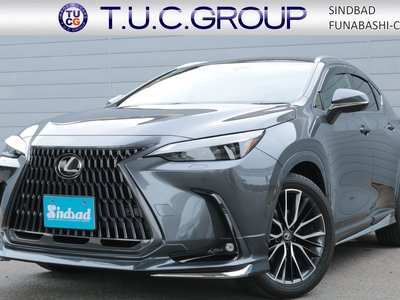 LEXUS NX - 1