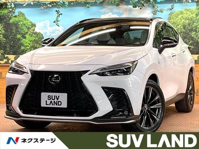 LEXUS NX - 1