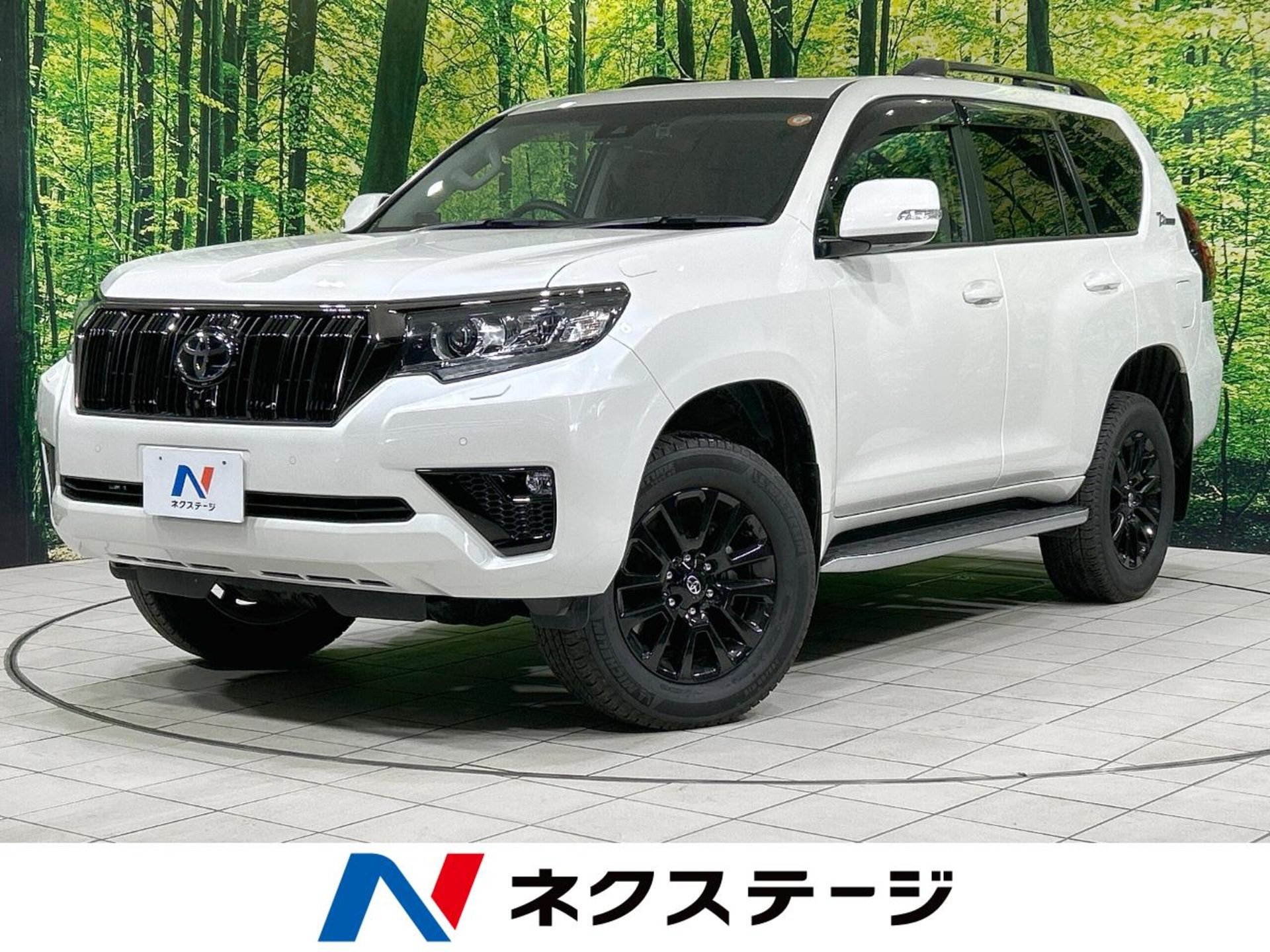 TOYOTA LAND CRUISER PRADO - View 1