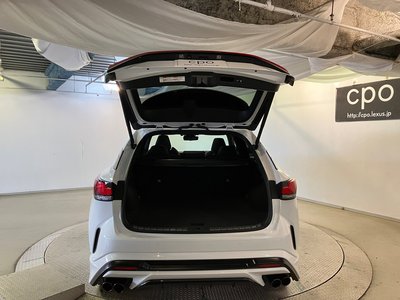 2023 Lexus RX — миниатюра 26