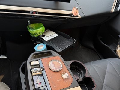 2024 BMW IX 照片 8