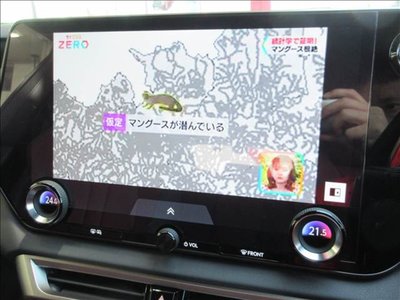 2023 Lexus RX — миниатюра 14