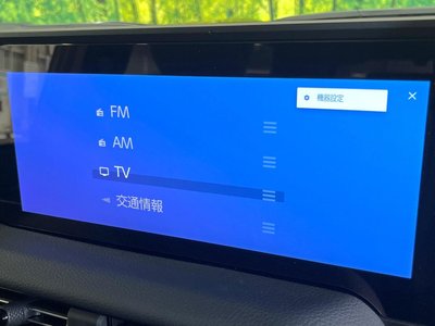 2025 Toyota LAND CRUISER 250 thumbnail 22