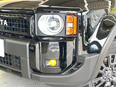 2025 Toyota LAND CRUISER 250 thumbnail 13