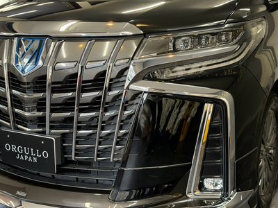 2018 Toyota ALPHARD 照片 10