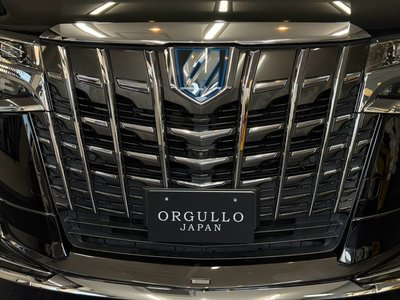 2018 Toyota ALPHARD 照片 8