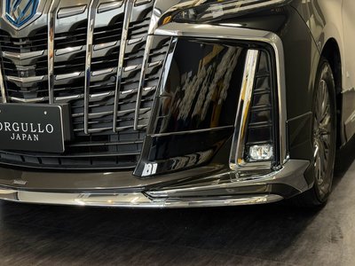 2018 Toyota ALPHARD 缩略图 12