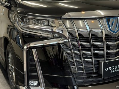 2018 Toyota ALPHARD 照片 9