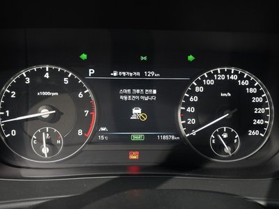 2016 Genesis EQ900 照片 8