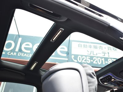 2021 Mercedes-BENZ S-CLASS 缩略图 32