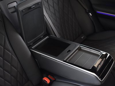 2021 Mercedes-BENZ S-CLASS 缩略图 64