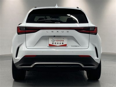 LEXUS NX - 10